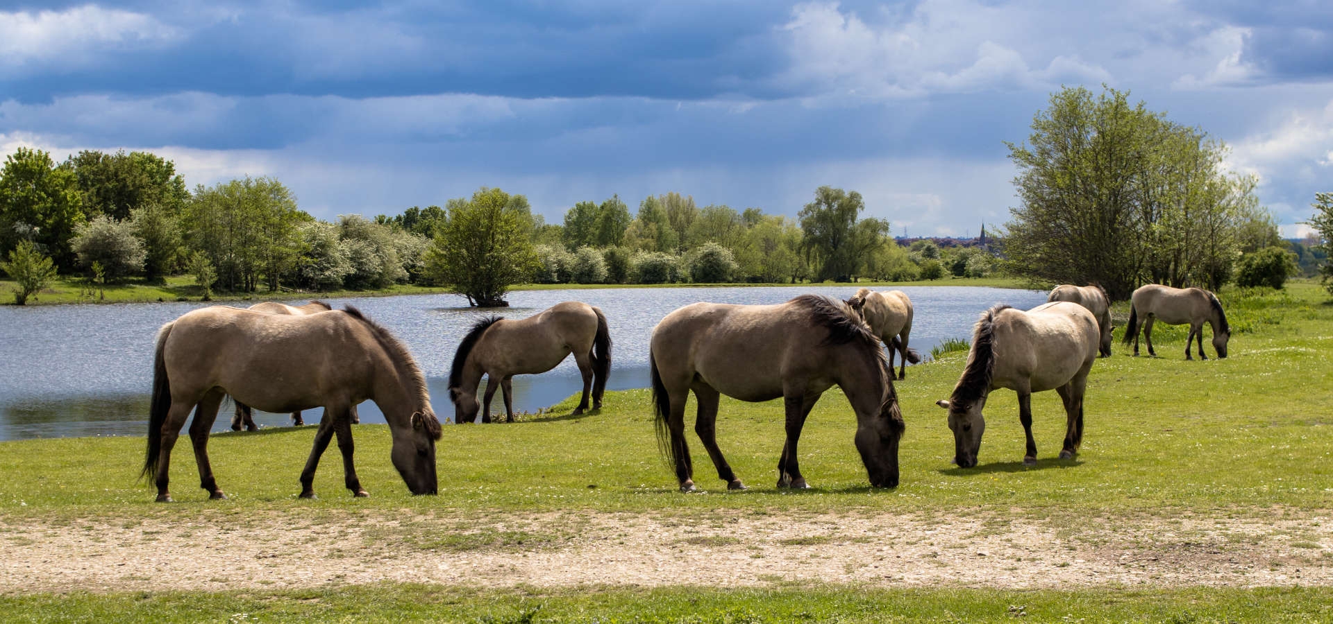 Rustige winterwandeling langs de Maas in Eijsden na een dag kerstmarkten