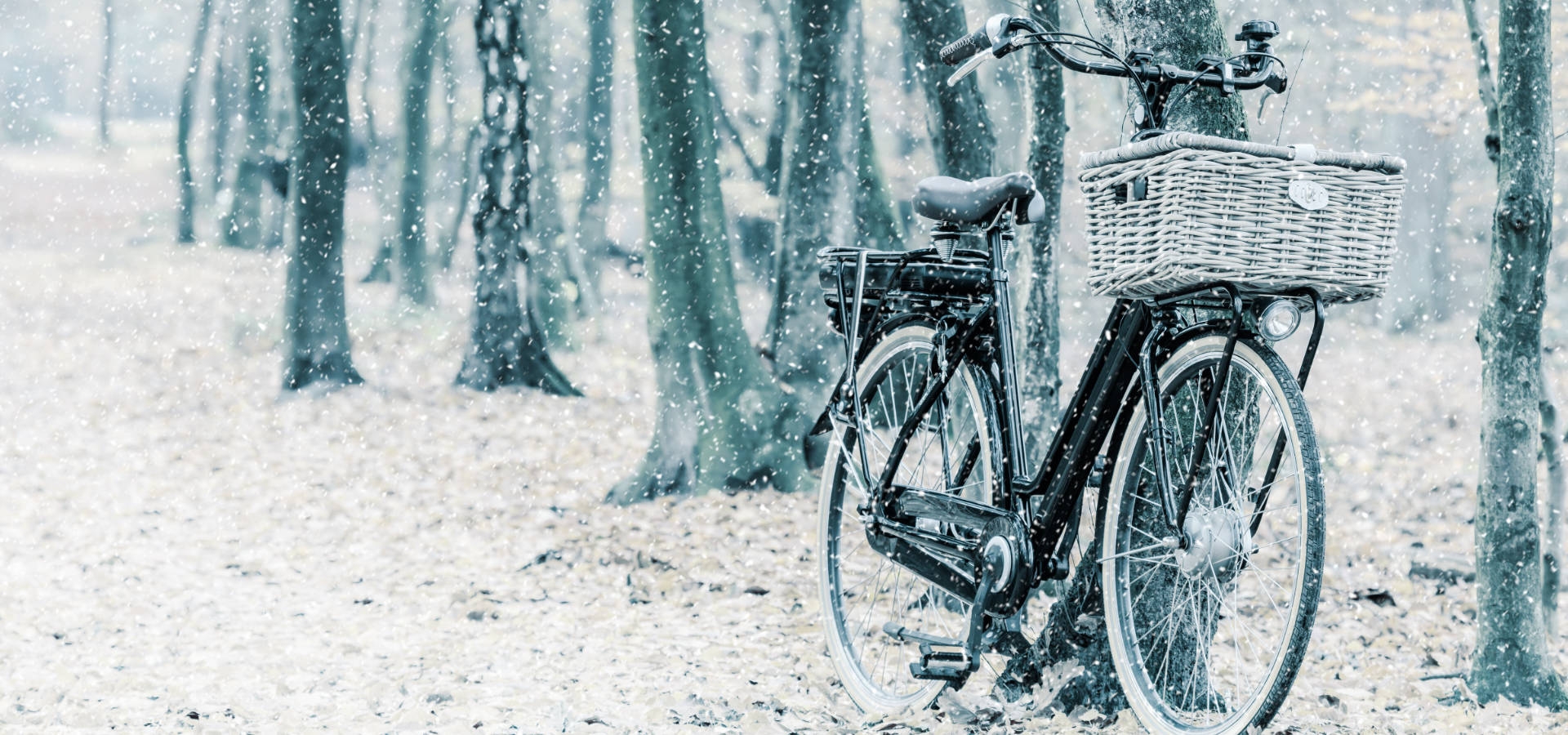 Praktische transport e-bike met kerstboodschappen