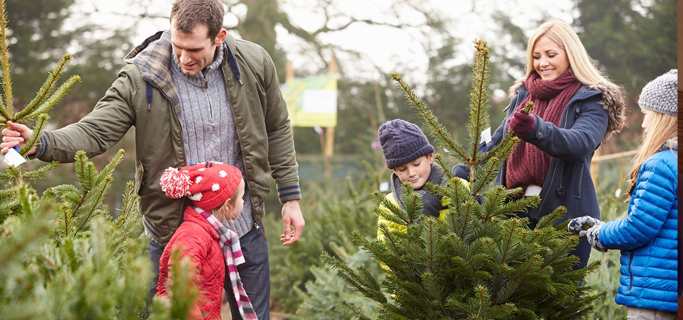 Ga met je gezin een mooie kerstboom uitzoeken!