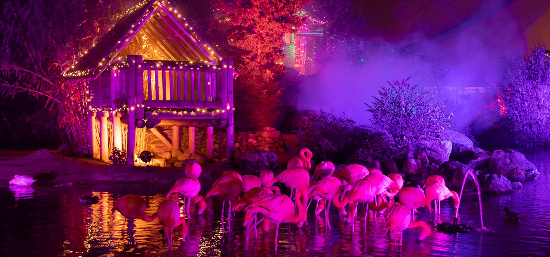 WinterDroom in Pantropica met tropische planten en sfeervolle kerstverlichting