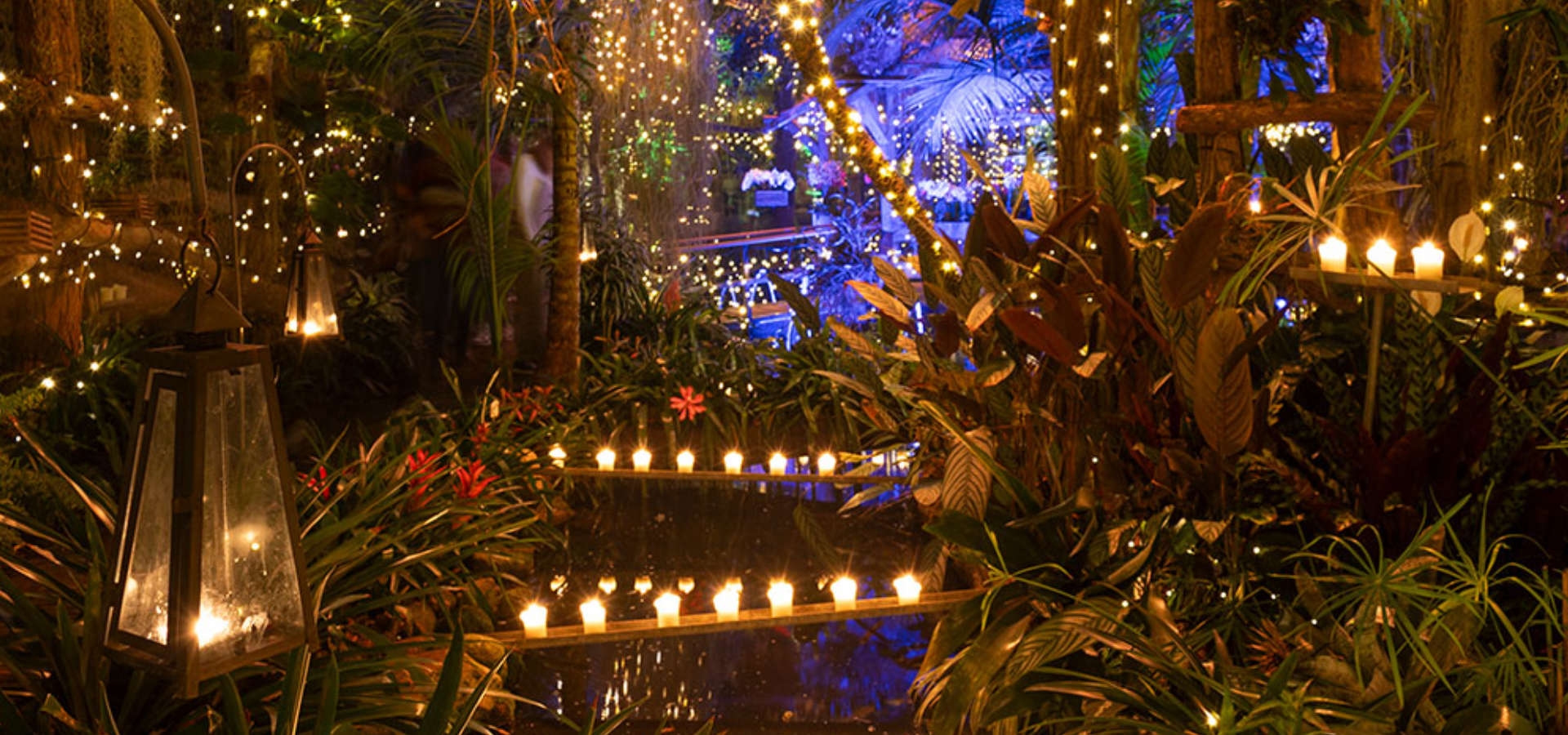 Kaarsjesavonden WinterDroom Pantropica lichtjes avond