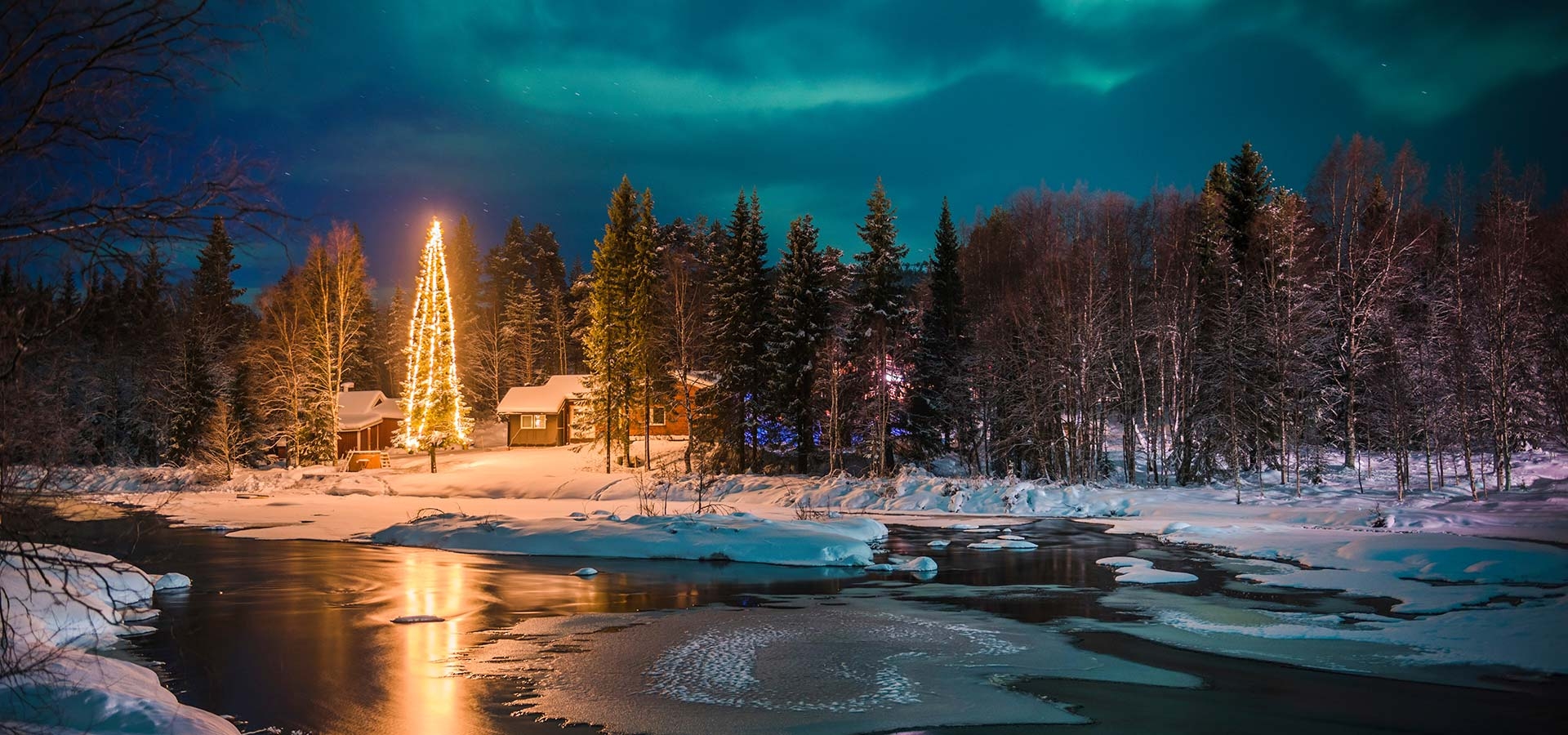 Proef de sfeer van Lapland in de avond met het Noorderlicht en een verlichte kerstboom