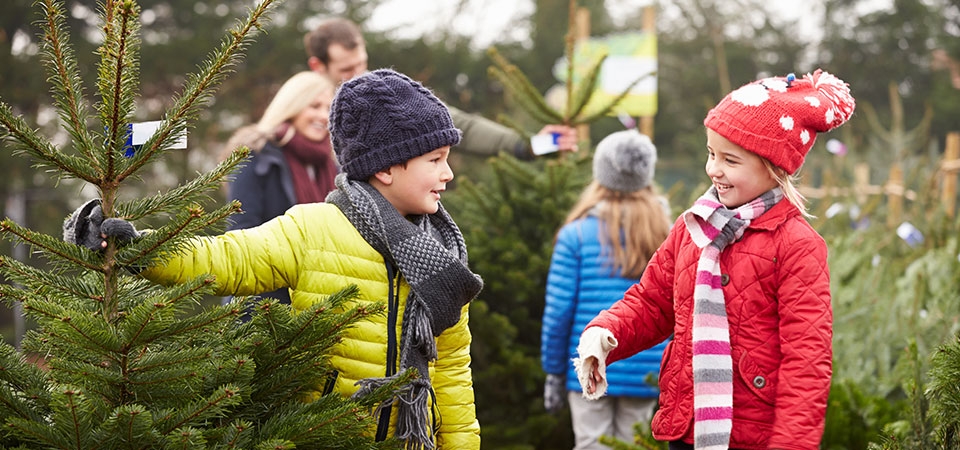 Kinderen spelen in een veld met kerstbomen