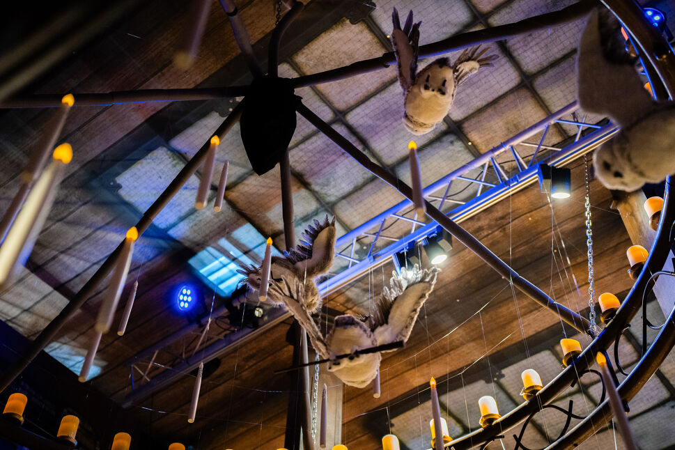  Intratuin Duiven - Christmas World in Duiven