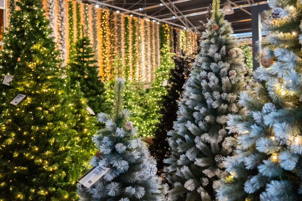  Intratuin Duiven - Christmas World in Duiven