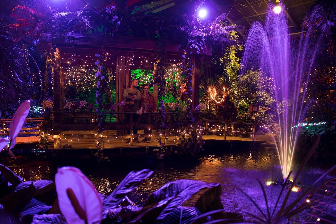  Jubileumeditie WinterDroom in Pantropica (Orchideeën Hoeve) in Luttelgeest