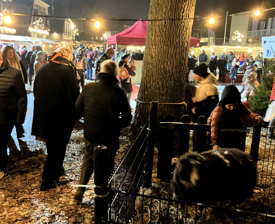  Kerstmarkt Boekelo in Boekelo