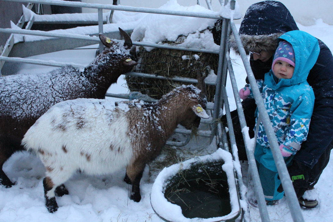  Kerstmarkt in Kipfenberg in Kipfenberg