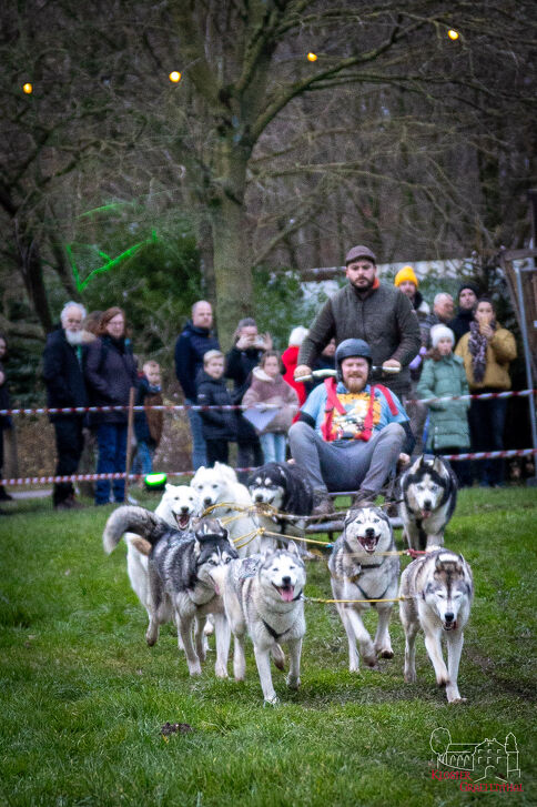 Ritje met sledehonden