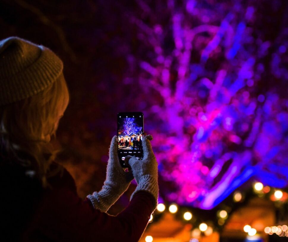  Kerstmarkt Winchester in Winchester