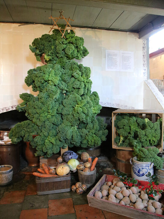  Kerstrondje Ruinerwold in Ruinerwold