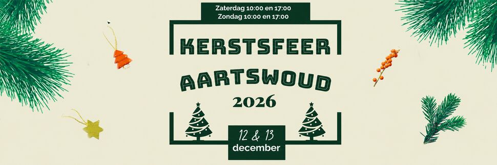  Kerstsfeer Aartswoud in Aartswoud