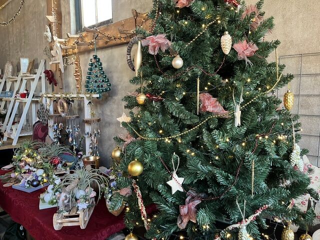  Kerstsfeer Aartswoud in Aartswoud