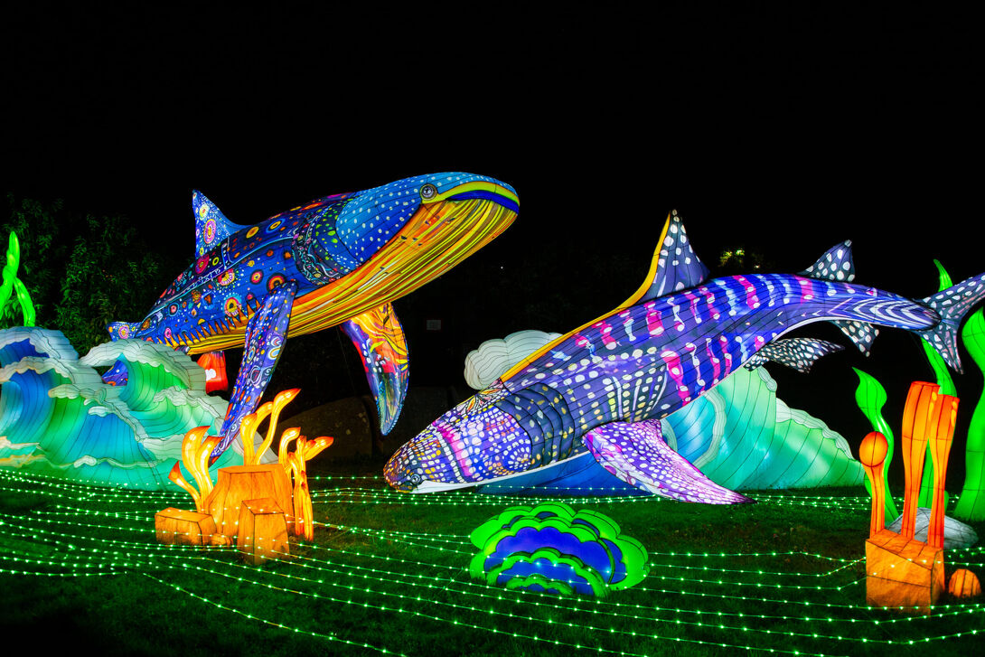  Light Nights in Ouwehands Dierenpark in Rhenen