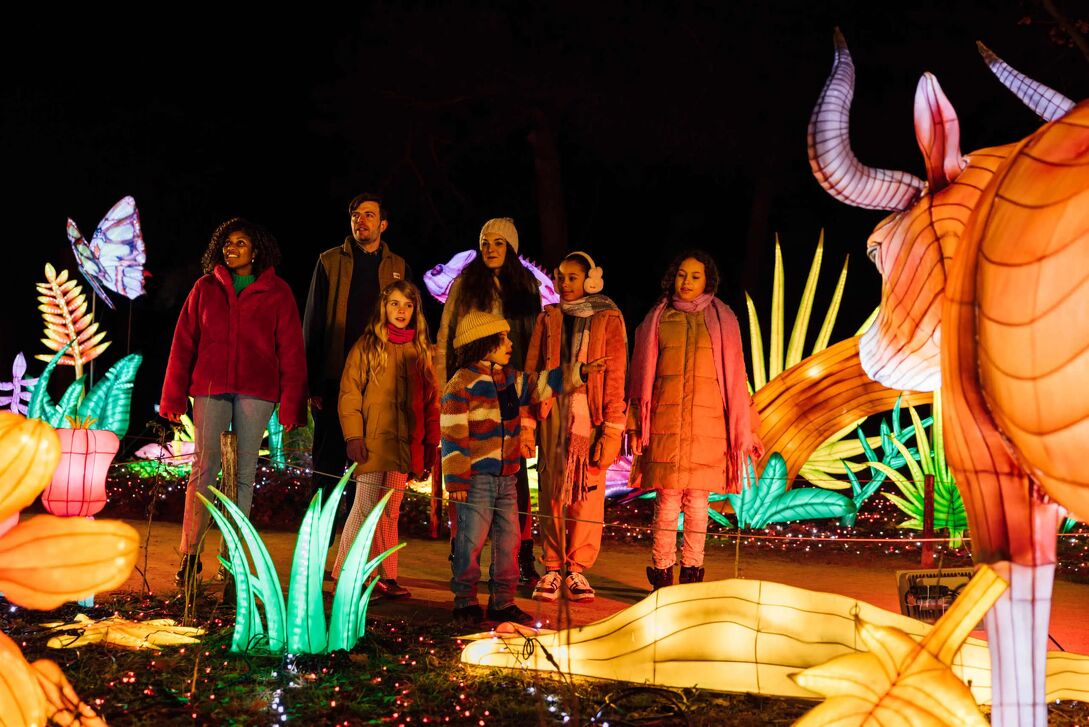  Light Safari Beekse Bergen in Hilvarenbeek