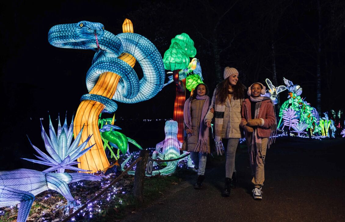  Light Safari Beekse Bergen in Hilvarenbeek