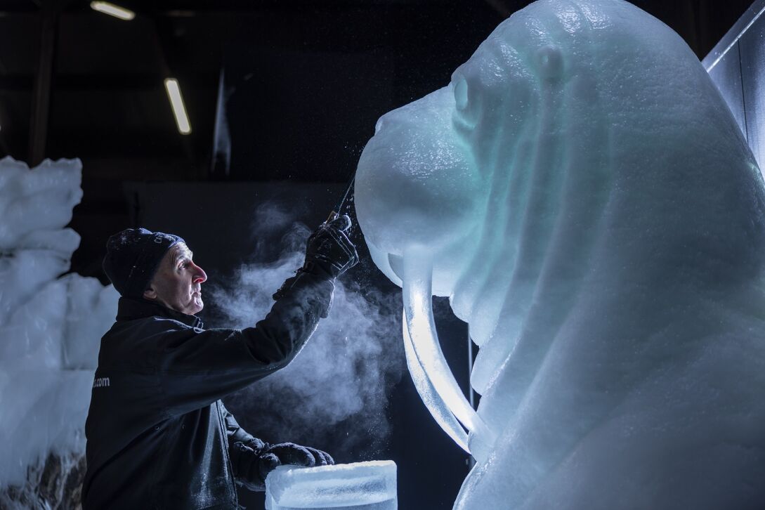  Nederlands IJsbeelden Festival Biddinghuizen in Biddinghuizen