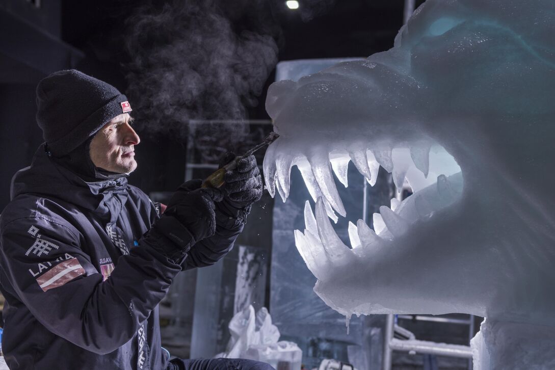  Nederlands IJsbeelden Festival Biddinghuizen in Biddinghuizen