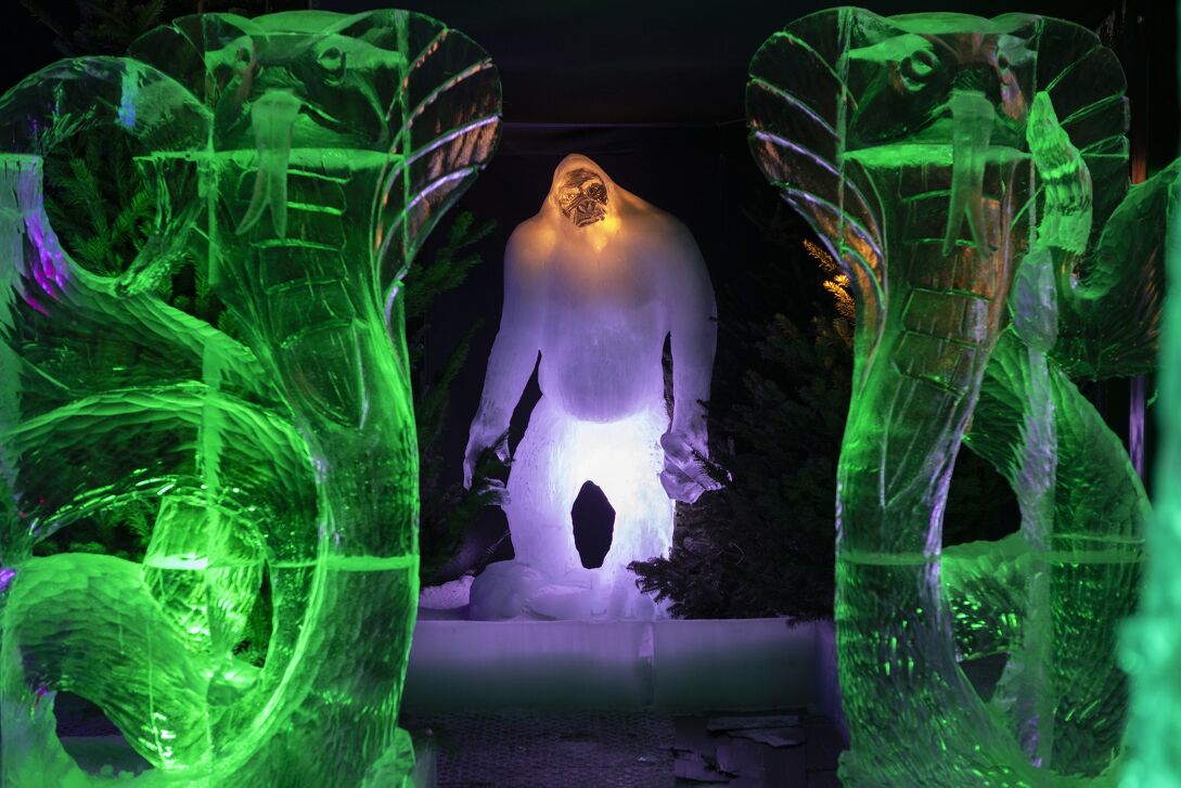  Ontdek de mooiste ijssculpturen van Nederland tijdens Nederlands IJsbeelden festival in Biddinghuizen in Biddinghuizen