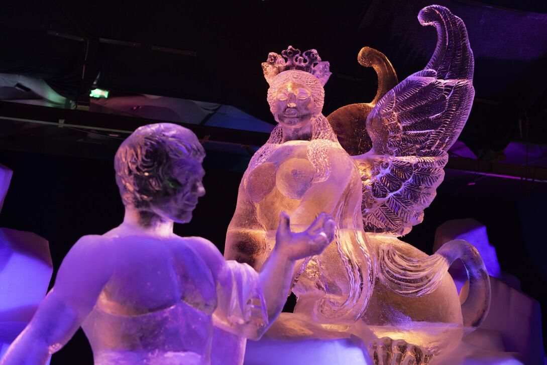  Ontdek de mooiste ijssculpturen van Nederland tijdens Nederlands IJsbeelden festival in Biddinghuizen in Biddinghuizen