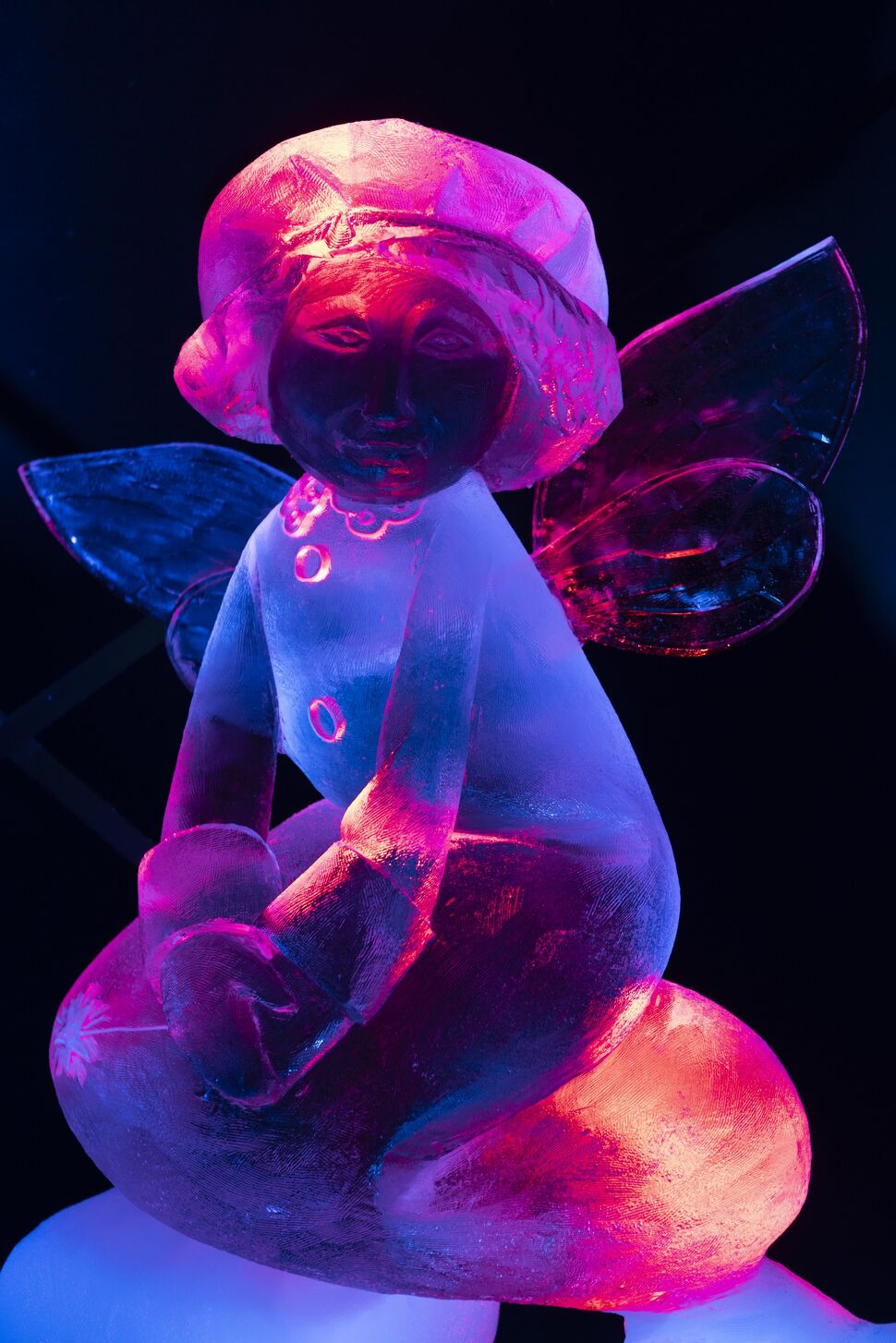  Ontdek de mooiste ijssculpturen van Nederland tijdens Nederlands IJsbeelden festival in Biddinghuizen in Biddinghuizen