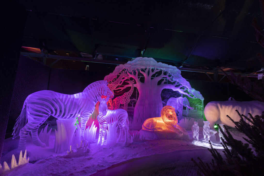  Ontdek de mooiste ijssculpturen van Nederland tijdens Nederlands IJsbeelden festival in Biddinghuizen in Biddinghuizen