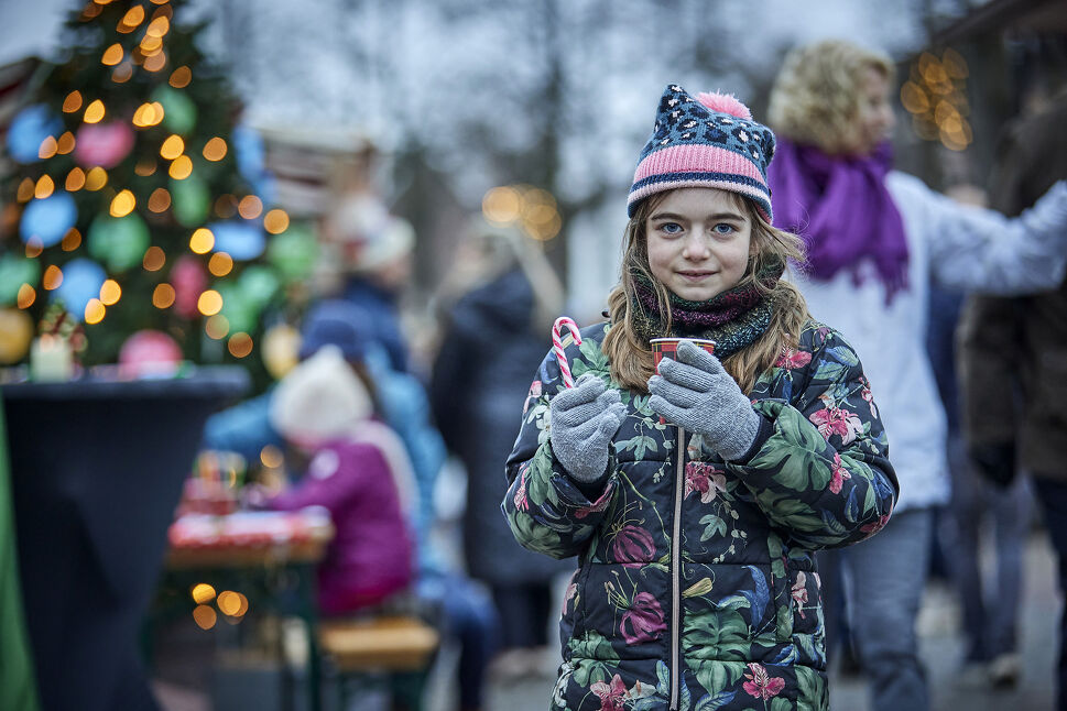  Sfeervolle Kerstmarkt in Eersel in Eersel