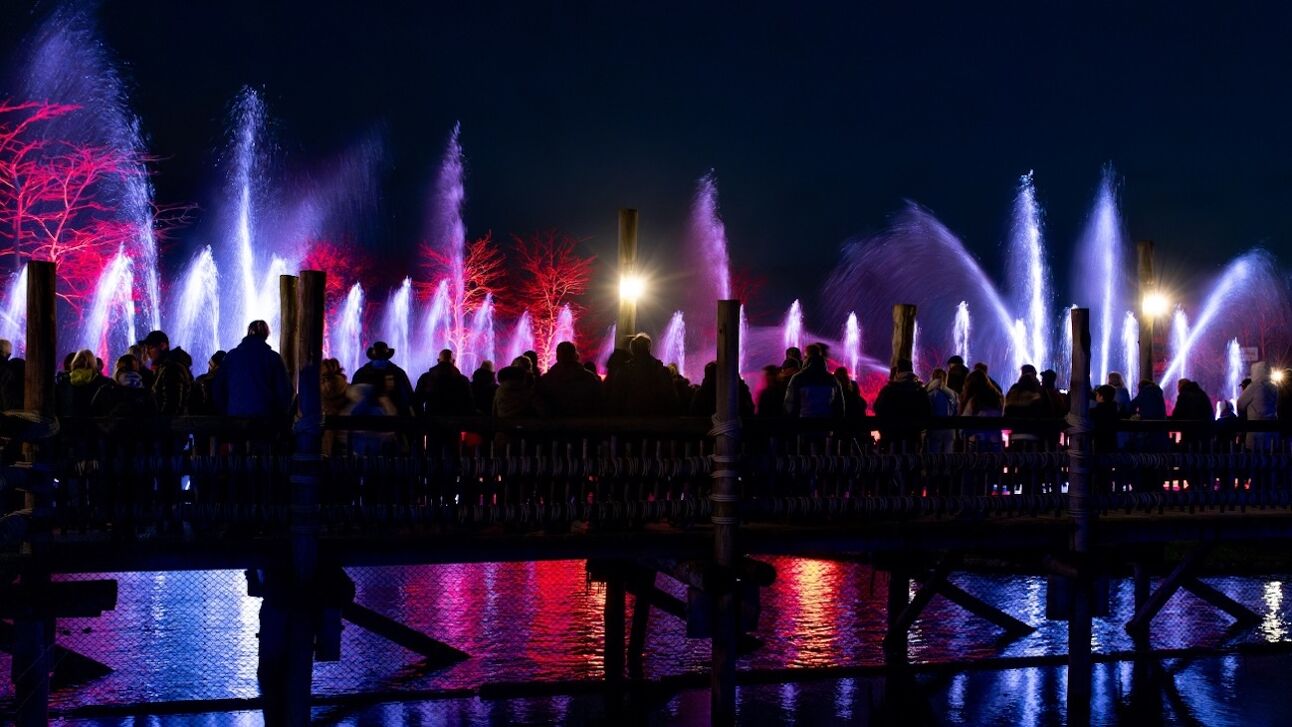  WILDnights in Wildlands Adventure Zoo Emmen in Emmen