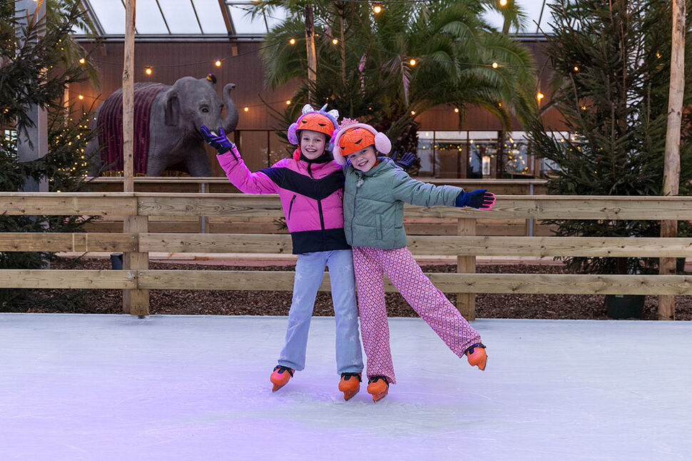  WinterDroom in Pantropica (Orchideeën Hoeve) in Luttelgeest