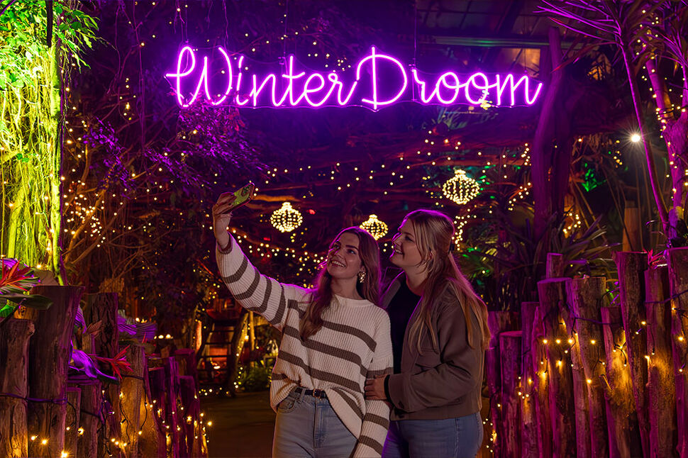  WinterDroom in Pantropica (Orchideeën Hoeve) in Luttelgeest