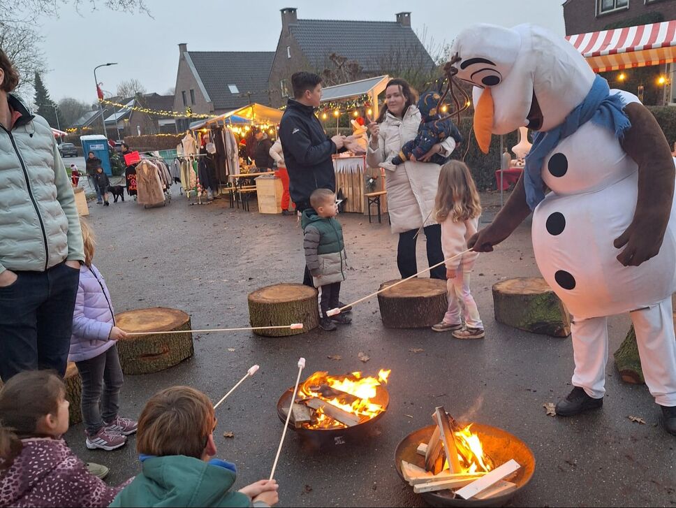  Winterfair Zoelmond by Light in Zoelmond