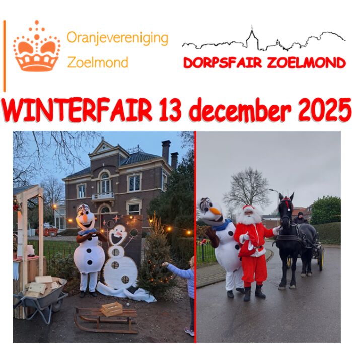  Winterfair Zoelmond by Light in Zoelmond