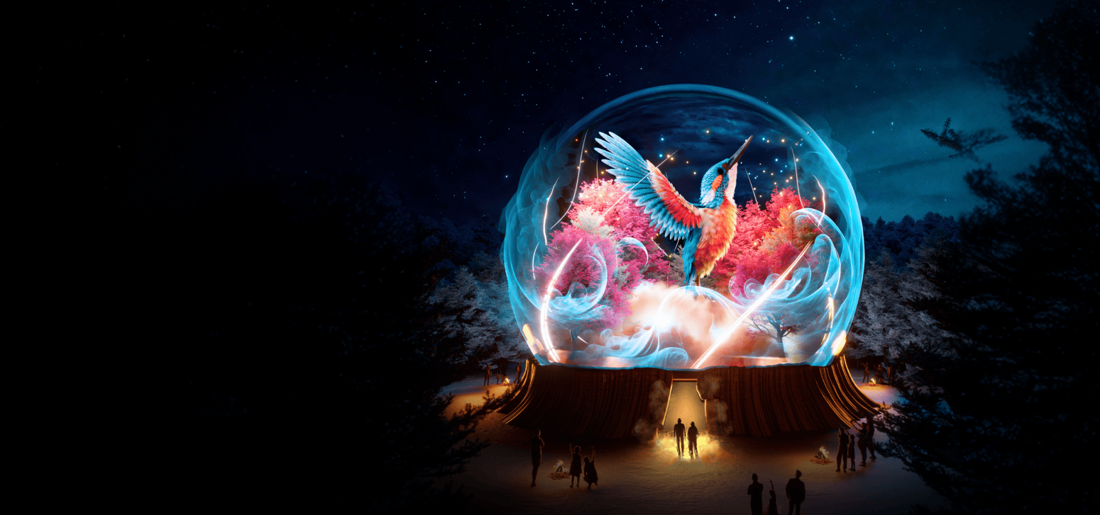  Winterheul: Een magische winter wandeling op de Veluwe in Apeldoorn