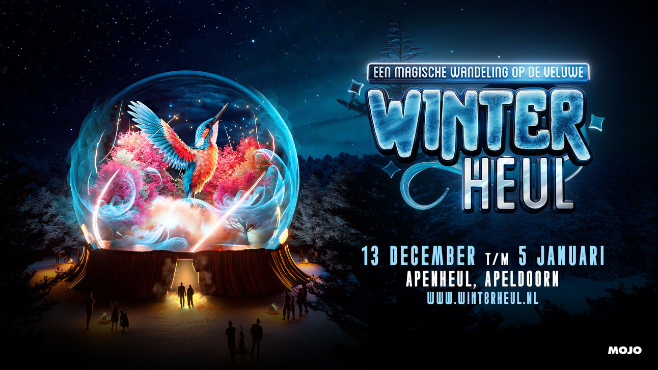  Winterheul: Een magische winter wandeling op de Veluwe in Apeldoorn