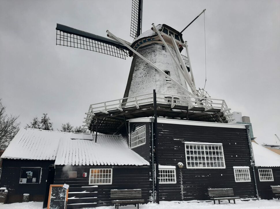  Wintermarkt Molen de Ster Utrecht in Utrecht